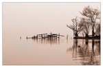 Misty Morning-Loch Awe