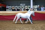SBM_15984
