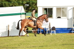 SBM_20437