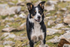 Ennerdale-764