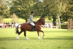 SBM_54248