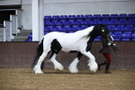 SBM_5487