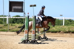 Class 4/5: 60cm Open Teams and Individuals portfolio