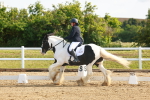 SBM_006982