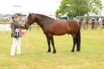 SBM_04318