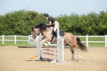 SBM_011727
