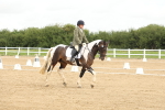 SBM_008671