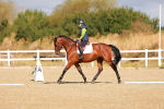 SBM_009420