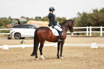 SBM_003744