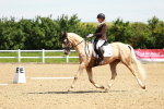 0B8A5834