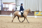 SBM_006038