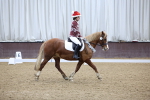 SBM_001246