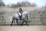 SBM_006315