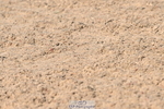 240509A-094003-00625