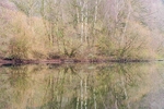 Brereton Pool