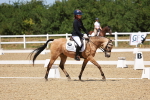 SBM_011622