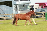 SBM_00423