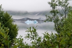 2014-1603 Valdez Glacier