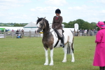 SBM_17217