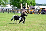 SBM_03503
