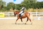 SBM_009788