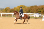 SBM_009300