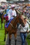 260823-Race 4-Absurde-0592