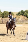 SBM_001431