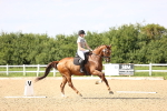 SBM_002804