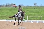 Cls 36 Premier League FEI FSM Grand Prix portfolio