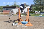 BPP_4484