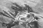 Dendritic