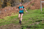 Stybarrow Dodd-710