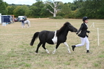 WJ6_5349