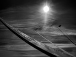 Kite Festival 010