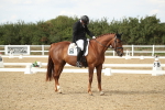 SBM_003379