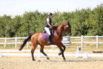 SBM_006704