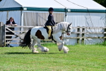 SBM_09315