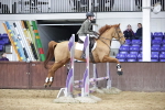 SBM_001034