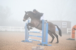Cls 1 British Novice and Open portfolio