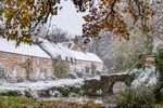 z4332 Snowy Winkle Street