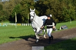 434-SPINK.BUSTER-Sue.Parkes-TrotUp+SJ portfolio