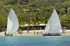 Bequia Easter Regatta_Heineken Challenge - Local Fishing Boatsgrw_8903