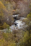 Highland stream Lairg 2