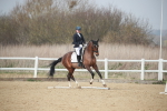 SBM_007292