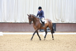 SBM_000163