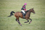BVHT 140517  IXC -226