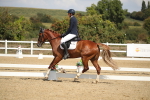 SBM_001461