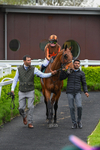 210526-Race 4-Analogical-4489