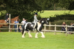 SBM_71671